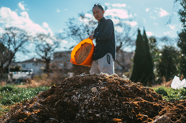 創業のきっかけ:しょうがのむし - Ginger Bug