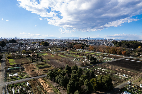 地域の課題解決について:しょうがのむし - Ginger Bug